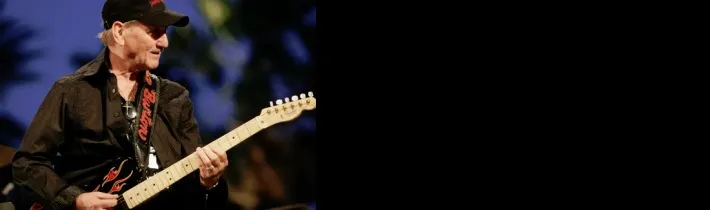 James Burton - The Profile