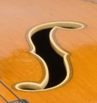 archtop f-shaped holes