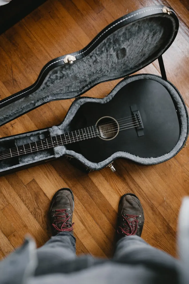 guitar case
