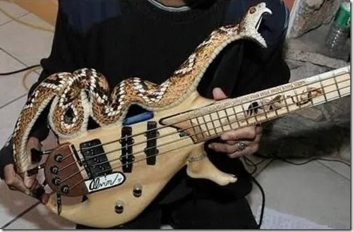outrageous-guitar-2